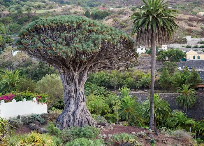 Superior G: Private Pool & Concierge דירה *