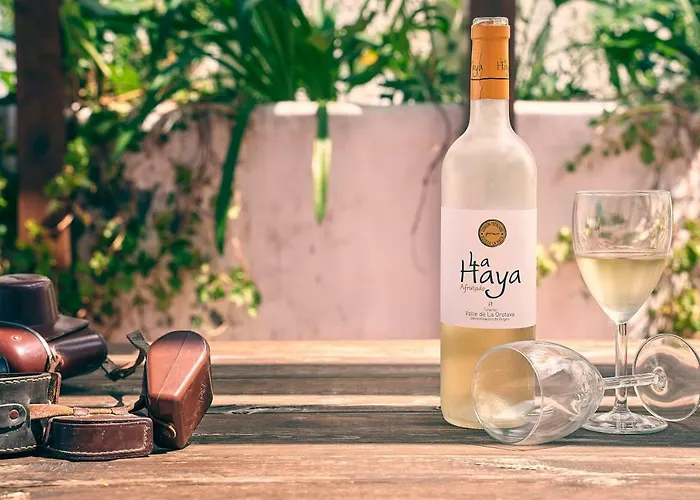 Superior G: Private Pool & Concierge דירה